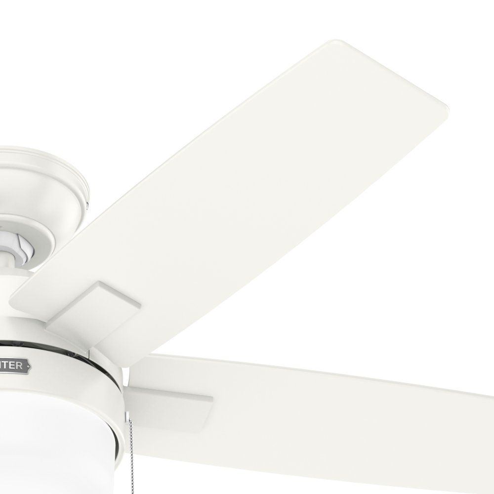 Hunter fan Anisten 44 inches